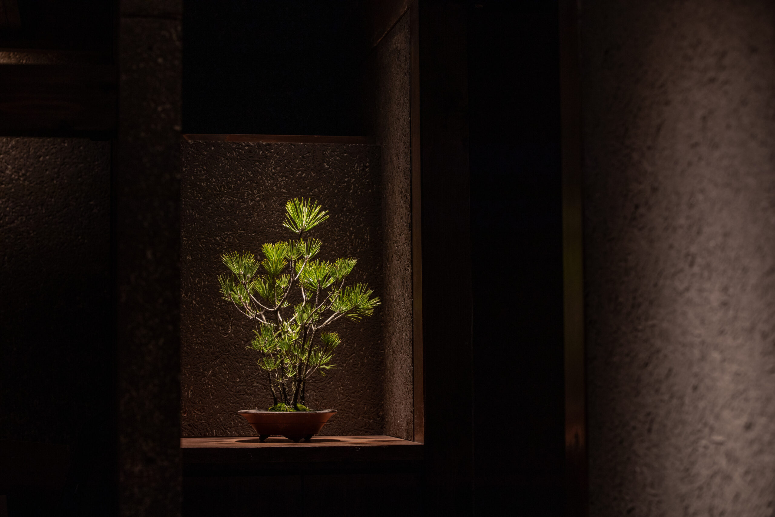 NAKASAI architects×GANESHA＝「大将軍」