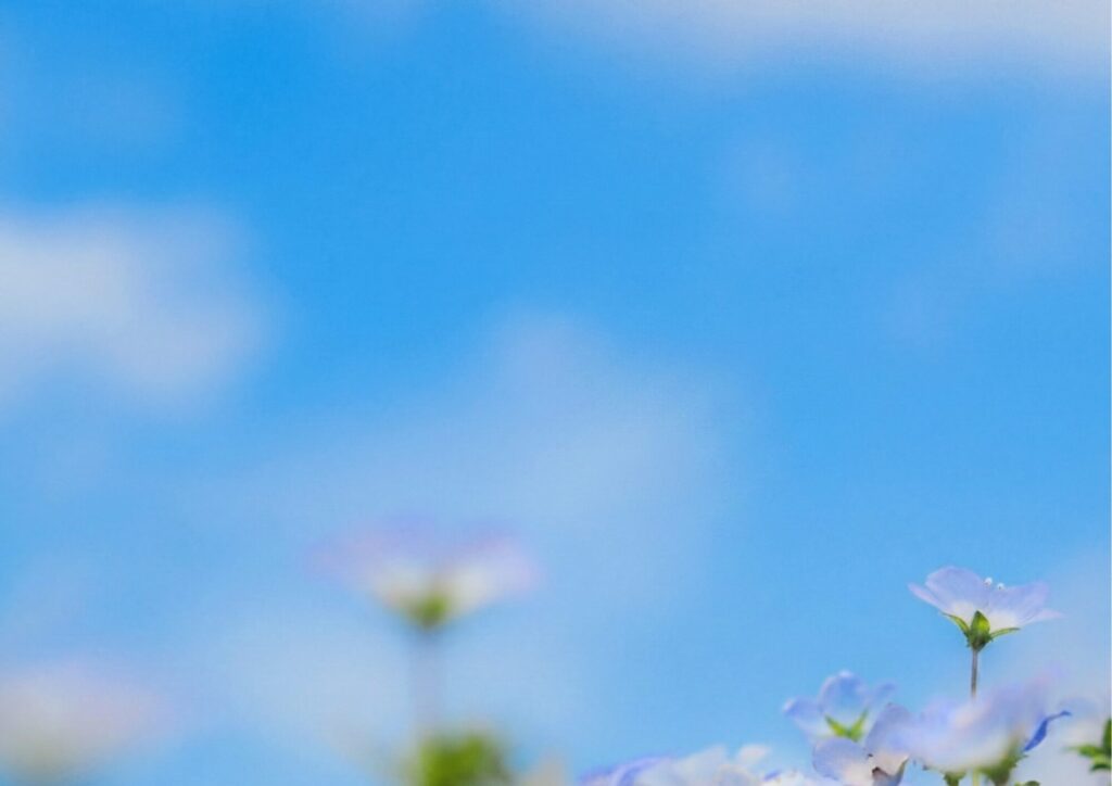 富山市布市｜新規分譲地　先行公開相談会